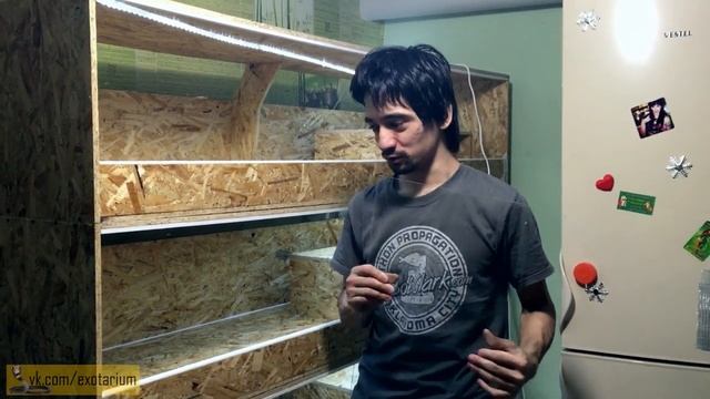 Собираем террариум смотреть онлайн