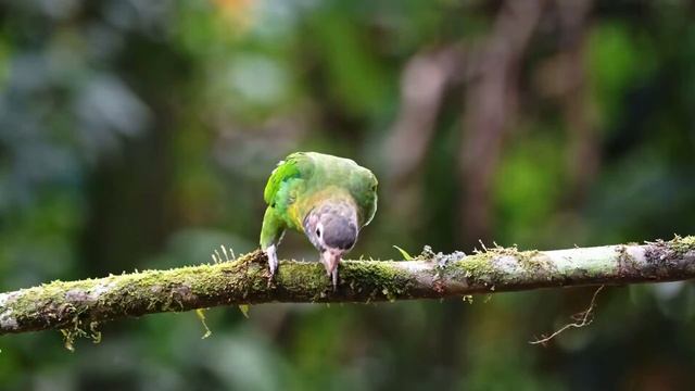 Красивая расслабляющая музыка ? душевная и умиротворяющая фортепиа, Yспокаивающие осенние мелодии.