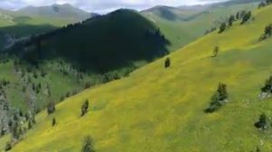 Шикарный сборник песен!