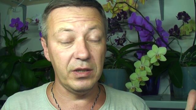 ЦВЕТОНОС ОРХИДЕИ ИЗ ТОЧКИ РОСТА // вопросы пересадка фаленопсиса смотреть онлайн
