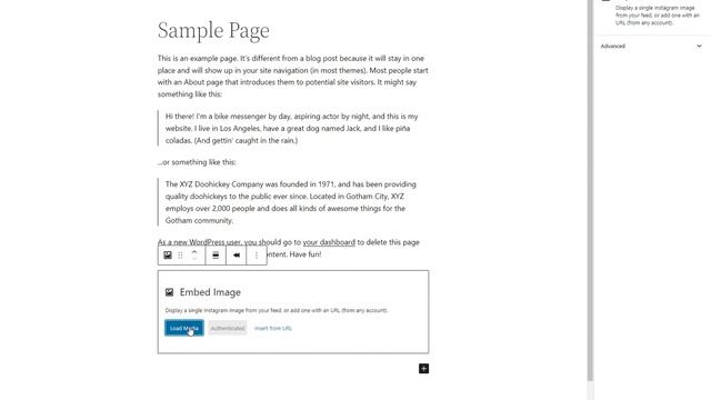 InBlocks WordPress Plugin for Instagram Demo смотреть онлайн