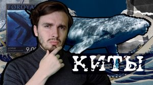 Киты: Хозяева океана или посредственные доисторические крысы?