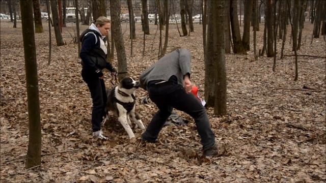 САО Тютелька Кесир Конхор на защите 9 апреля Нижний Новгород смотреть онлайн