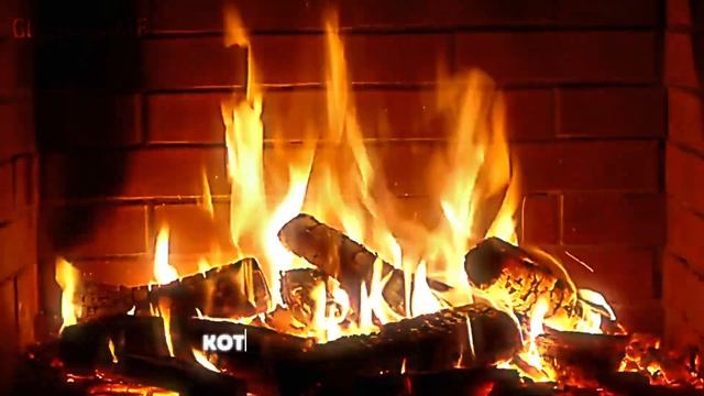 Я ухожу с канала... #рек #топ #спасибо смотреть онлайн