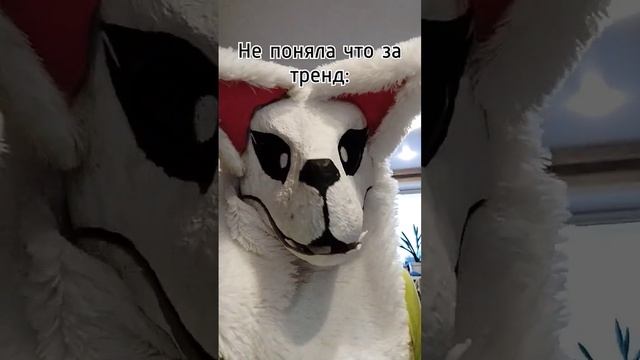 с добрым утром!☀️#фурри #фуррираптор#раптор #фурритоп смотреть онлайн