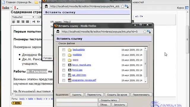 Добавление HTML-вкладок в Moodle 1.9.x смотреть онлайн