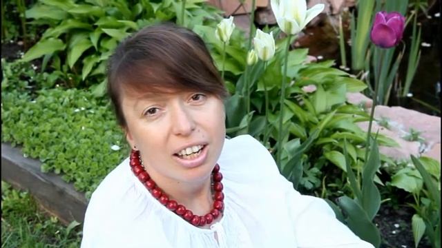 Мудрая пчела сон 2 смотреть онлайн