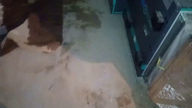 КВАков🐸? 29.12.2020 Ушлый прораб, у которого крыша - не протекает😮 смотреть онлайн