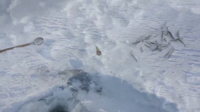 Финский залив,корюшка, 6 02 2021 смотреть онлайн