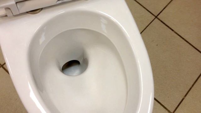 Унитаз-компакт напольный белый 28744 Rihard Knauff SKANDIK с сиденьем микролифт смотреть онлайн