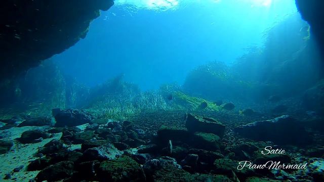 One hour of mesmerizing music for sleeping: Three Gymnopedies, by Erik Satie смотреть онлайн