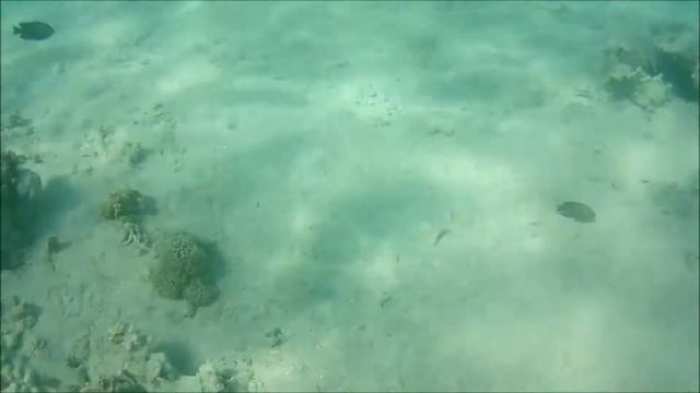 Labranda club . Makadi bay . Egypt . Египет . Макади бей Хургада . Отдых в Ноябре , Декабре . 2017 смотреть онлайн