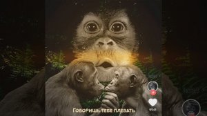 Говоришь тебе плевать (Slowed Reverb)