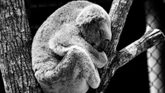 Музыка для йоги и медитации смотреть онлайн