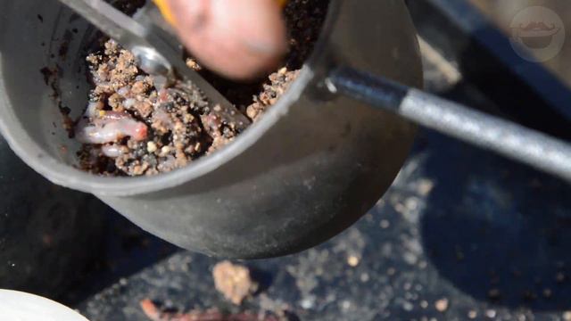 Красивый улов ранней весной. смотреть онлайн