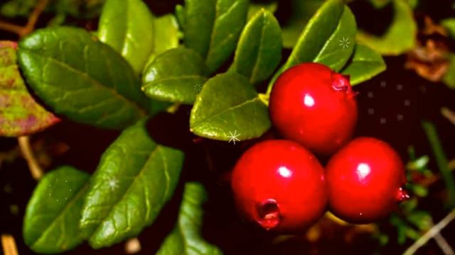 Делай То, Что Приносит Результат