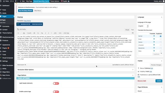 WPML Settings For Wordpress Floris Theme смотреть онлайн