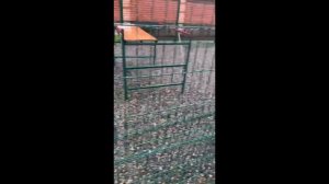 Спортивная площадка из 3D сетки высотой 5 метров КП Золотой карп