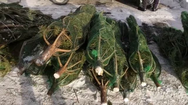 Столичные полицейские проводят рейдовые мероприятия смотреть онлайн