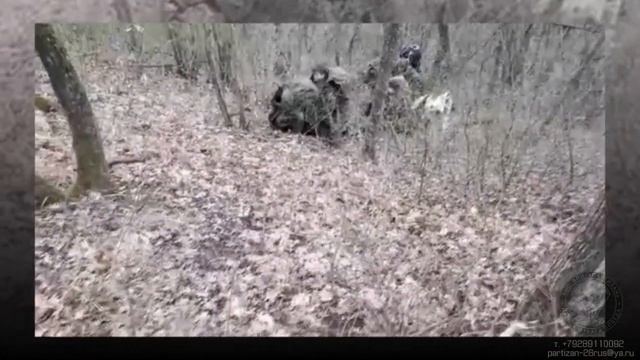 Тише летучей мыши смотреть онлайн