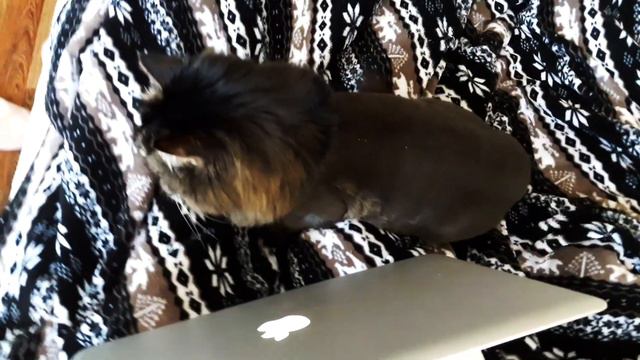 НЕДОшоппинг и Идеальное утро! смотреть онлайн