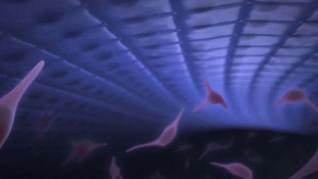 Виноград поможет укрепить зубы