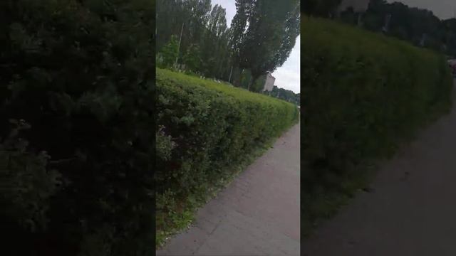 Старый оскол смотреть онлайн