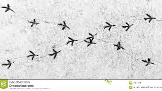 Меня не надо удивлять. стихи Лариса Миллер смотреть онлайн