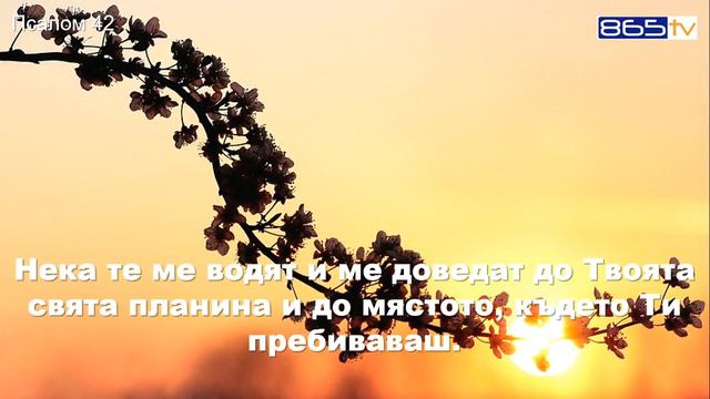 Псалом 42 смотреть онлайн