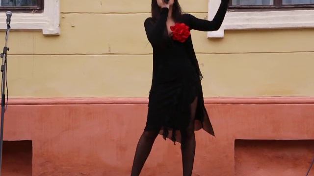 ДЕНЬ ЕВРОПЫ - 2013. ЧЕРНОВЦЫ. смотреть онлайн