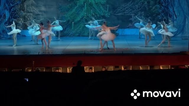 Театр Оперы и Балета в Днепре. Балет Щелкунчик. смотреть онлайн