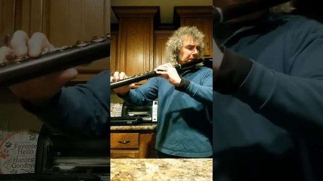 Wooden Alto Flute Exploration. смотреть онлайн