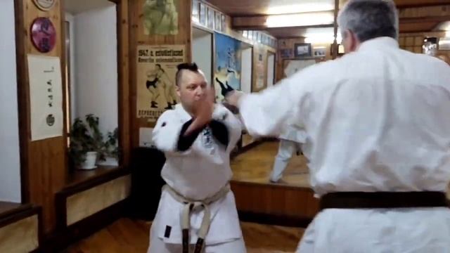 平手回し受け hirate mawashi uke /輪受け wa uke / circle block for kumite 組 手 Uechi ryu 上 地 流 karate смотреть онлайн
