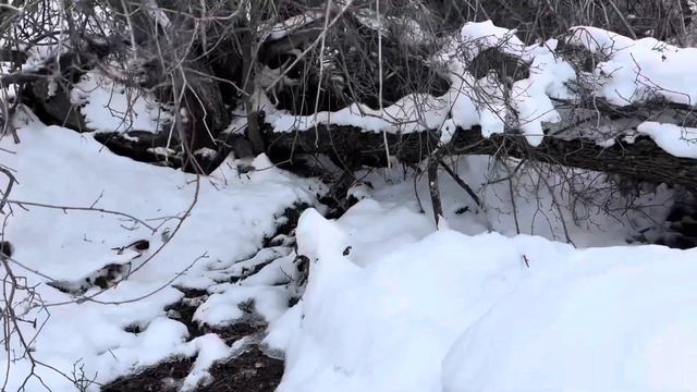 Каракийясай зимой. 22.02.2024г. смотреть онлайн