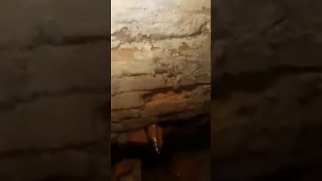 #2. Прокол канализации мини ГНБ установкой из колодца через приямок(колодец) в погреб 35 метров. смотреть онлайн