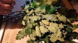 Вяжем дубовые веники дедовским способом