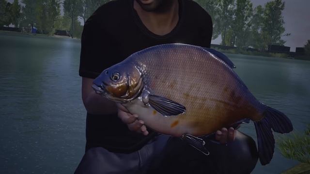 Dovetail Games Euro Fishing Gameplay Trailer смотреть онлайн