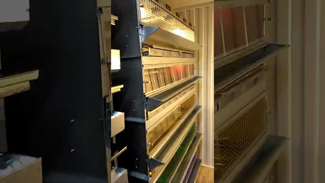 Перепелиная ферма