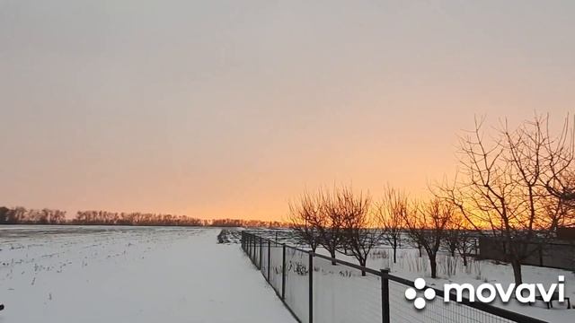 31 января 2024 г. смотреть онлайн