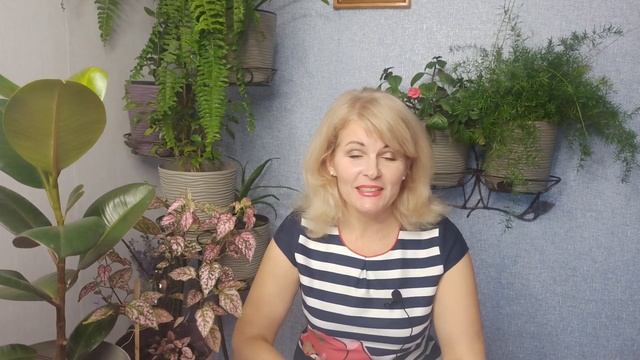 Самые неприхотливые растения для тенистого сада смотреть онлайн