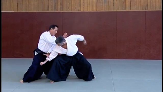 Айкидо. Кристиан Тисье. Принципы и применение. Часть 3. Практика