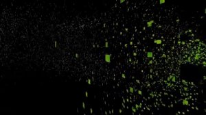 Удобрения для папоротников. Как и чем нужно подкармливать папоротники.