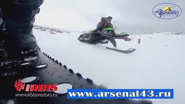 Снегоход Irbis Dingo T150
