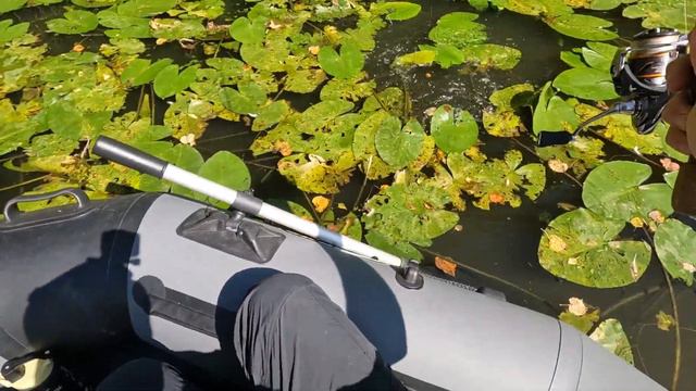 Ловим мормышкой в отвес карасика 🎣 смотреть онлайн