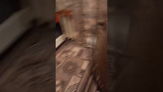 Первый день с кошкой и с новорождённым котенком😀💋 смотреть онлайн