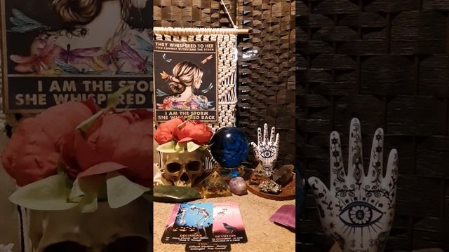 Your Energy Check In Tarot Reading ?Choose The Best Option Be Devoted #tarot #tarotreading #daily смотреть онлайн