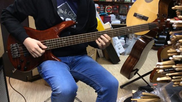 Schecter Diamond Stiletto Studio 5, Yamaha BB415, Ibanez SRT 805 DX, A5 OPBK серии Artisan, Peavey смотреть онлайн