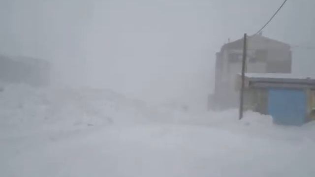 Пурга 16 марта 2016 смотреть онлайн