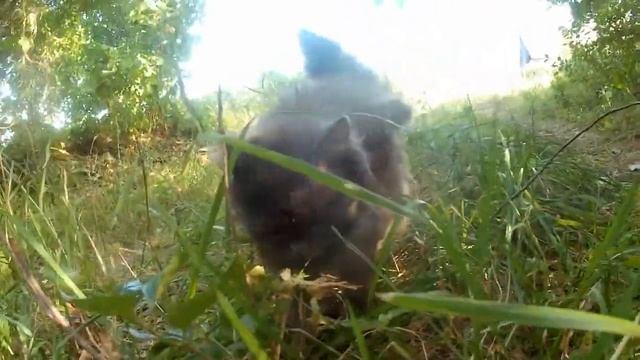 Изменение стоимости тарифа в одностороннем порядке незаконно смотреть онлайн