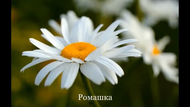 100 слов для детей 1 3 года часть пятая на канале обучалки смотреть онлайн
